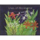 Montserrat - 2007 - Nb 1262/1265 - Flowers