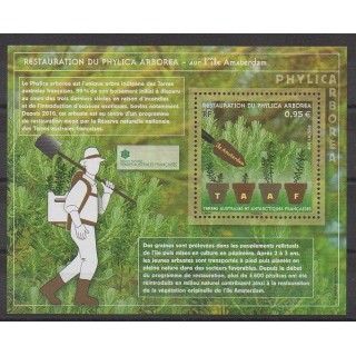 French Southern and Antarctic Lands - Blocks and sheets - 2019 - Nb F903 - Trees - Environment