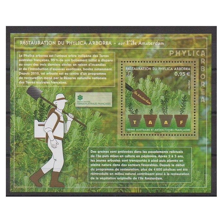 French Southern and Antarctic Lands - Blocks and sheets - 2019 - Nb F903 - Trees - Environment