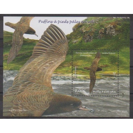 French Southern and Antarctic Lands - Blocks and sheets - 2019 - Nb F897 - Birds
