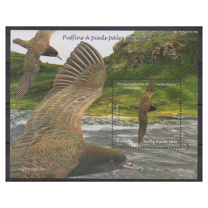 TAAF - Blocs et feuillets - 2019 - No F897 - Oiseaux