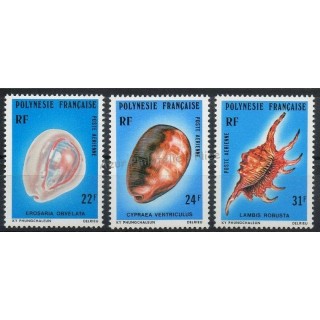 Timbres - Thème coquillages - Polynésie - Poste aérienne - 1978- No PA 132/ PA 134