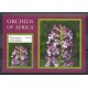 Tanzanie - 2015- No BF 602 - orchidées