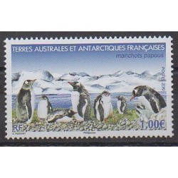 French Southern and Antarctic Territories - Post - 2019 - Nb 908 - Birds