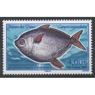 Timbres - Thème poissons - Terres Australes et Antarctiques Françaises - Poste - 2007- No 456