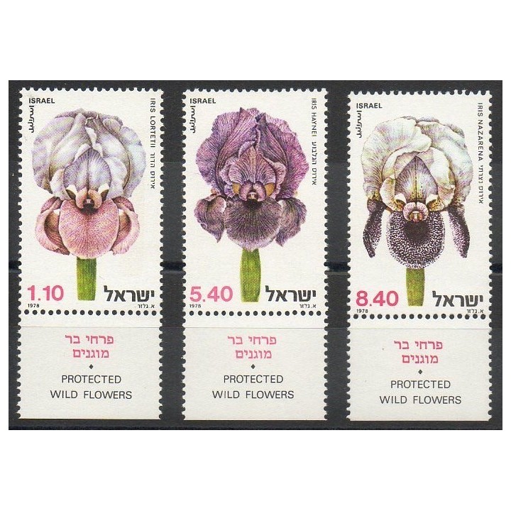 Stamps - Theme environment - Israel - 1978- Nb 724/726