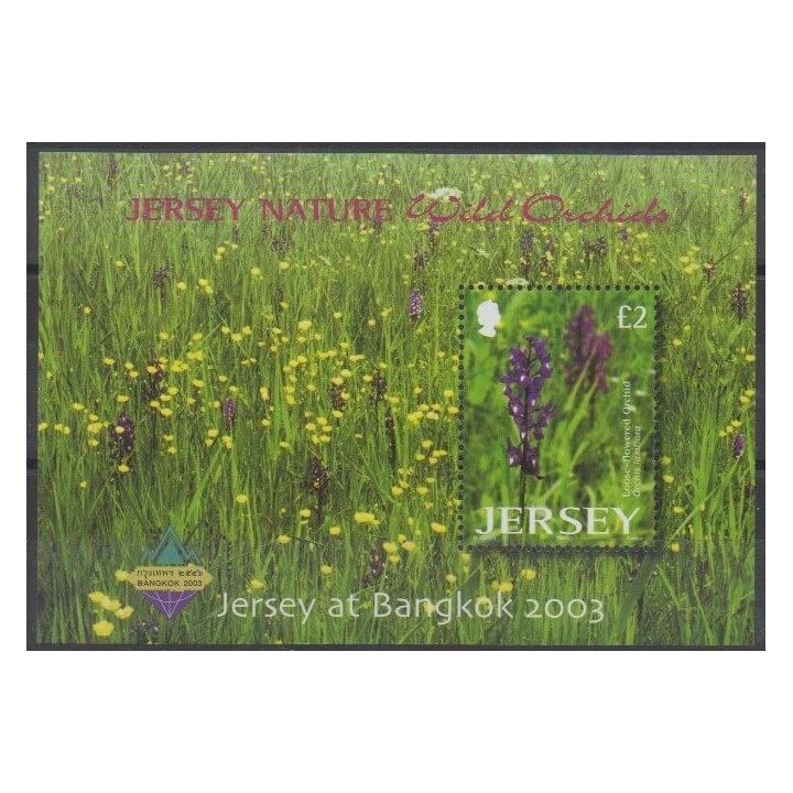Acheter ce bloc-feuillet de l'île de Jersey de l'année 2003 (No BF51).