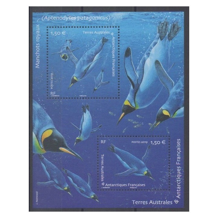 Buy this souvenir sheet  of FSAL of the year 2019 (BF Manchots royaux).