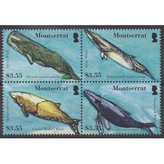 Buy this set of stamps of Montserrat of the year 2008 (Nb 1270/1273).