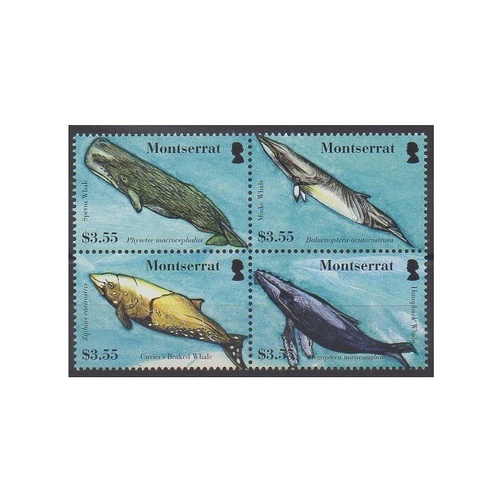 Buy this set of stamps of Montserrat of the year 2008 (Nb 1270/1273).