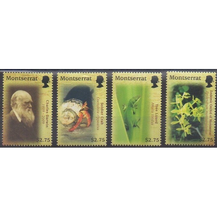 Acheter cette série de timbres de Montserrat de l'année 2009 (No 1328/1331).