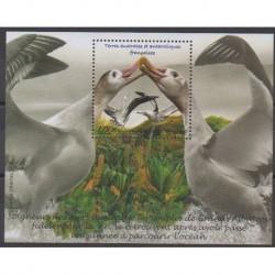 French Southern and Antarctic Lands - Blocks and sheets - 2020 - Nb F924 - Birds