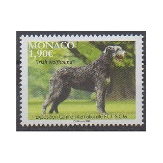 Buy this stamp of Monaco of the year 2020 (Irish Wolfhound).
