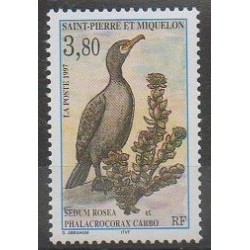 Saint-Pierre and Miquelon - 1997 - Nb 642 - Birds