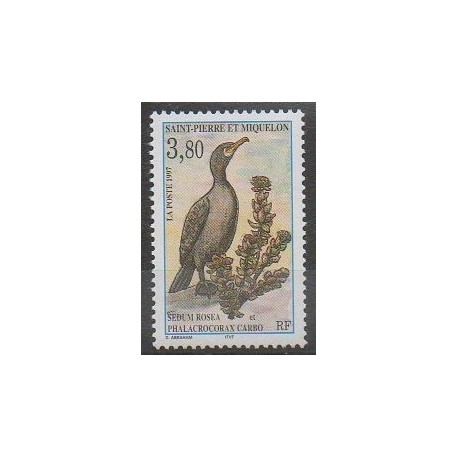 Saint-Pierre and Miquelon - 1997 - Nb 642 - Birds