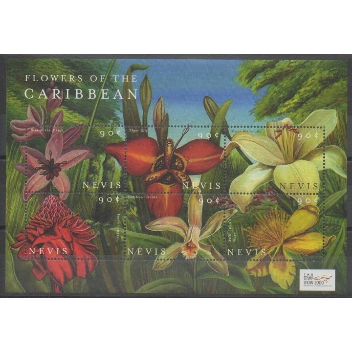 Buy this set of stamps of Nevis of the year 2000 (Nb 1477/1482).