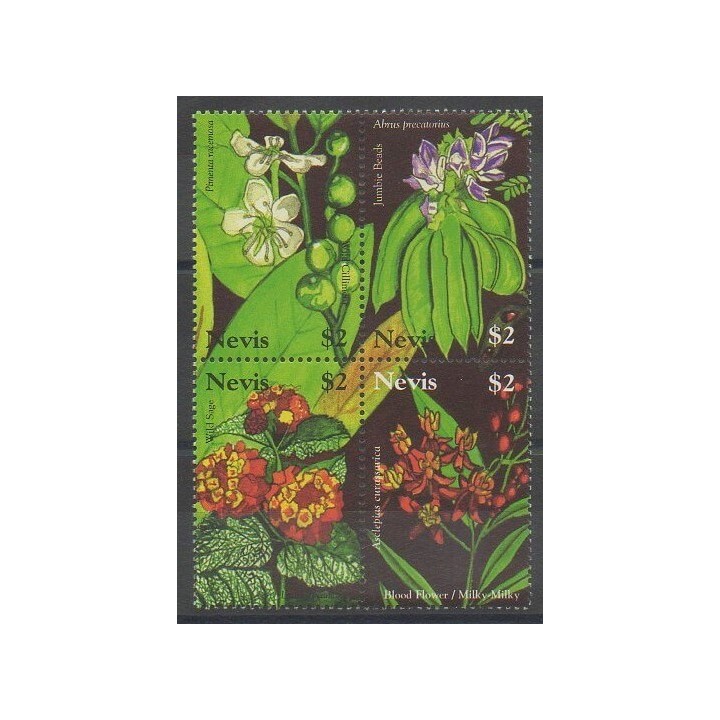 Buy this set of stamps of Nevis of the year 2007 (Nb 1947/1950).
