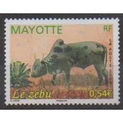 Mayotte - 2008 - Nb 208 - Mamals