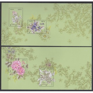 Buy these 2 souvenir sheets of France of the year 2020 (Nb BS168 - BS168A).