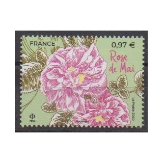 Acheter ce timbre de France de l'année 2020 (Rose de Mai).
