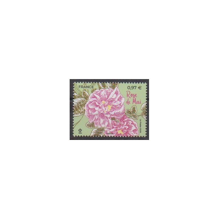 Buy this stamp of France of the year 2020 (Rose de Mai).