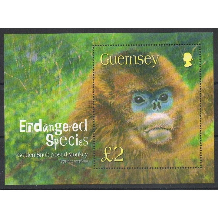 Timbres - Thème animaux divers - Guernesey - 2004- No BF 53