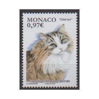 Buy this stamp of Monaco of the year 2020 (Exposition féline internationale).