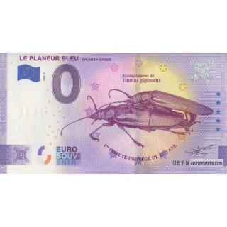 Billet souvenir touristique - 2020-3 - Le Planeur Bleu - (Guyane)