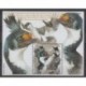 French Southern and Antarctic Lands - Blocks and sheets - 2021 - Nb F958 - Birds