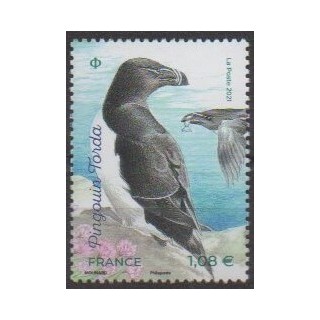 Buy this stamp of France of the year 2021 (Pingouin Torda).