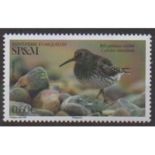 Acheter ce timbre de Saint-Pierre et Miquelon de l'année 2021 (Bécasseau violet).