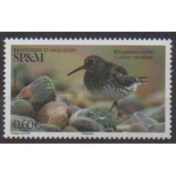 Saint-Pierre et Miquelon - 2021 - No 1253 - Oiseaux - Bécasseau violet