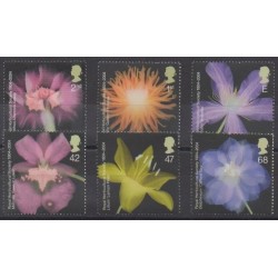 Grande-Bretagne - 2004 - No 2559/2564 - Fleurs