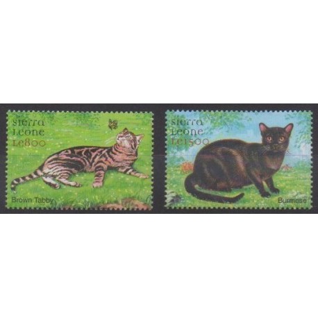 Sierra Leone - 2000 - Nb 3169/3170 - Cats