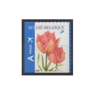 Acheter ce timbre de Belgique de l'année 2007 (No 3703).